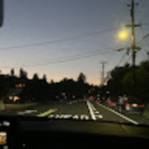 Meet your Posher, Mollyy